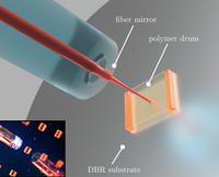 Direct laser-written optomechanical membranes in fiber Fabry-Perot cavities