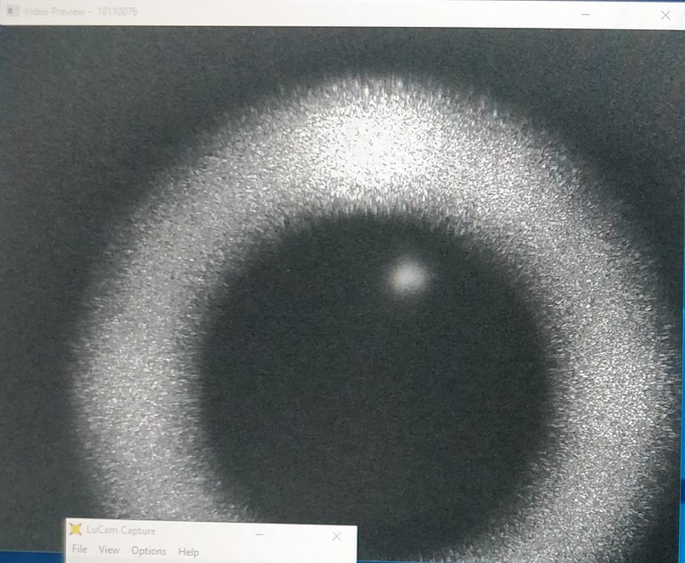 The first fluorescence from the 2D ytterbium MOT