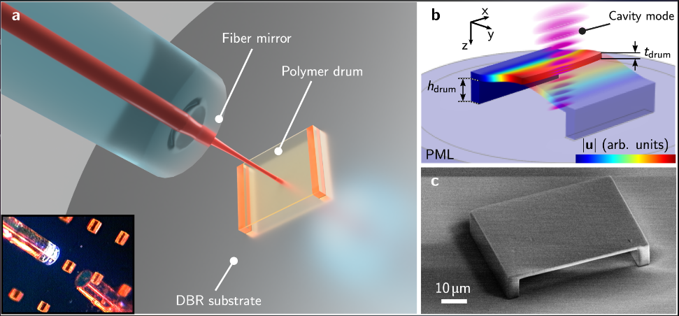 New paper published