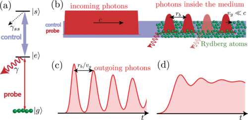 Photon propagation through dissipative Rydberg media