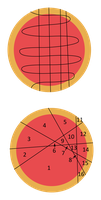 solution_11_fermi2.png