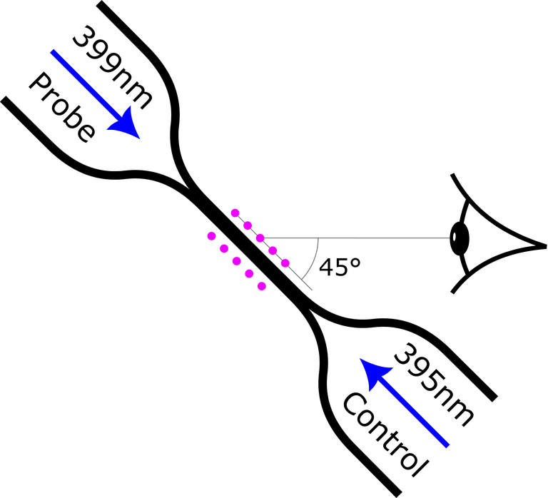 SS2025 - FYQO - Nanofiber_Imaging_under_45_degrees.png