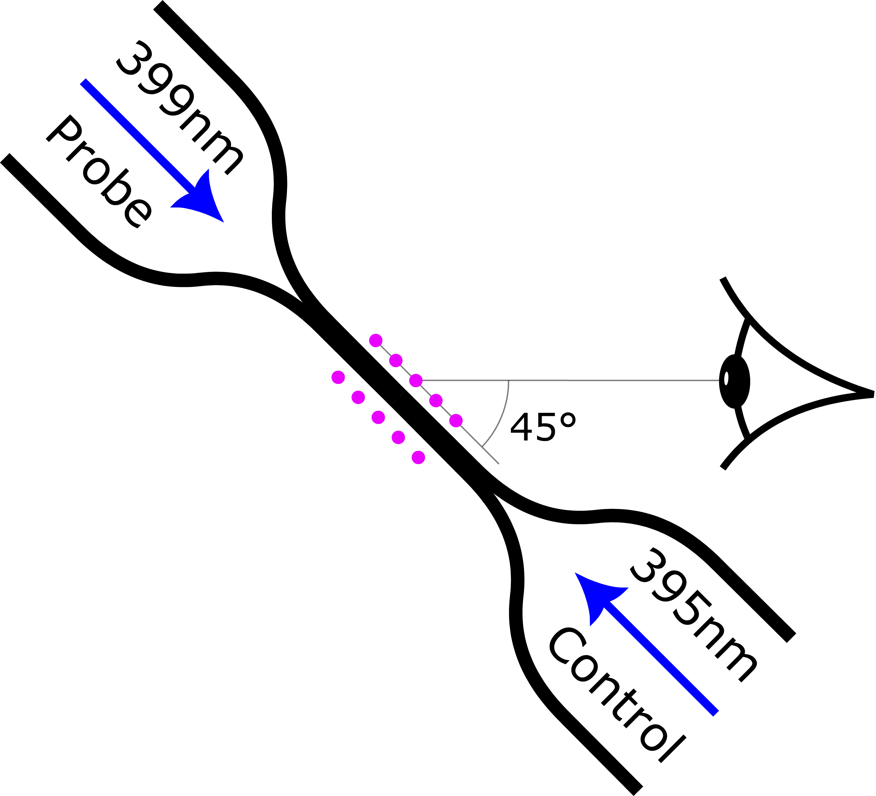 SS2025 - FYQO - Nanofiber_Imaging_under_45_degrees.png