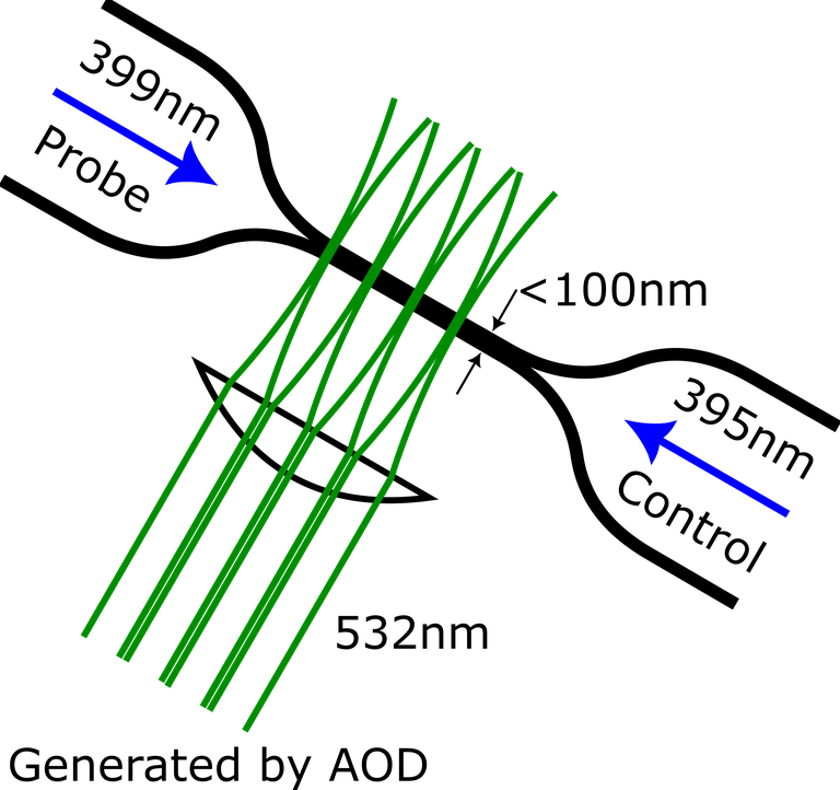 WS2024 - FYQO - Nanofiber_with_optical_tweezers.png